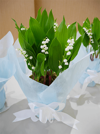 しあわせの花 すずらんを届けました What S Up Ana Anaグループ公式の最新ニュース